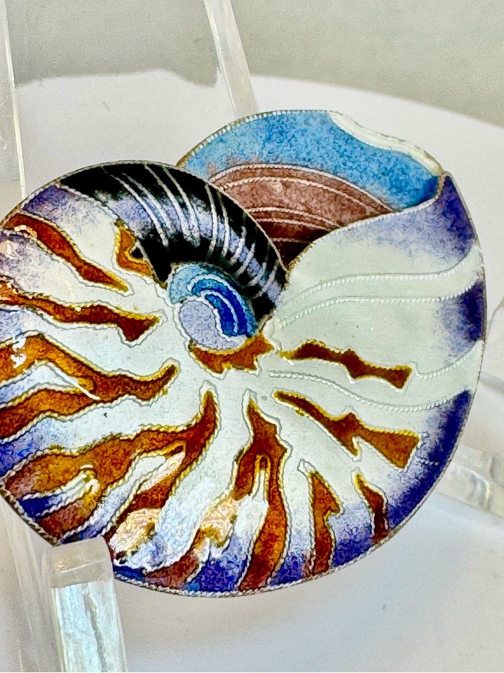 Hand-Painted Nautilus Shell Brooch – Blue, White & Brown